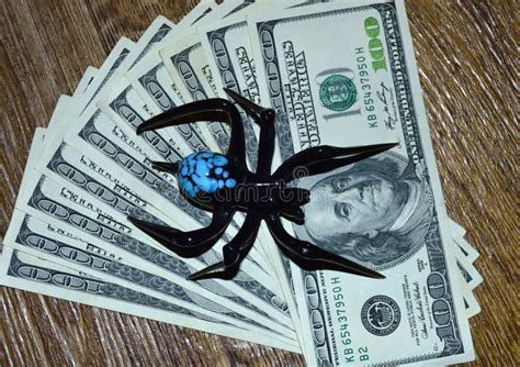 Black Spider Sits On One Hundred Dollar Bills Stock Photo Image Of