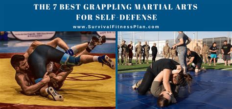 The 7 Best Grappling Martial Arts For Self Defense