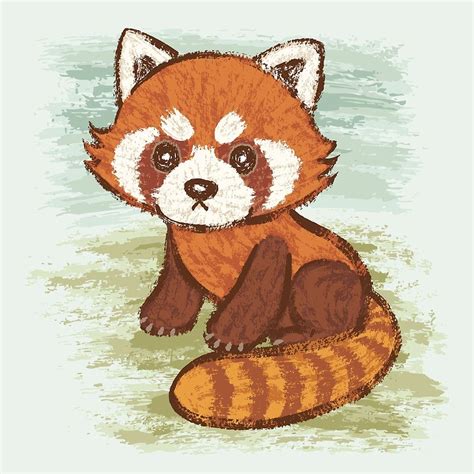 Red Panda Cute Red Panda Cartoon Panda Illustration Panda Funny