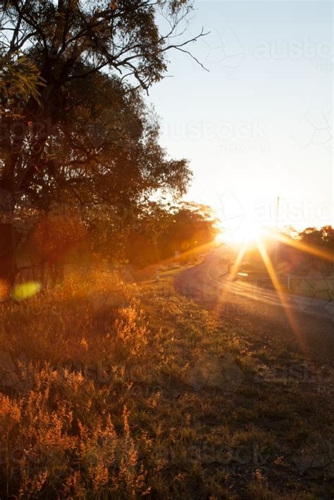 Image Of Rays Of Sunlight Shining On Grass Along A Rural Road