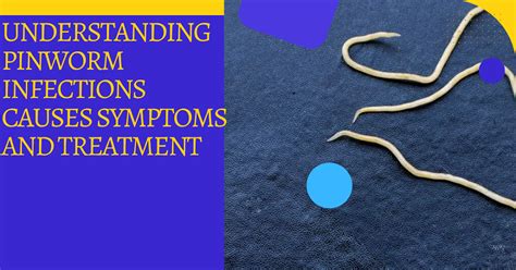 Understanding Pinworm Infections Causes Symptoms And Treatment