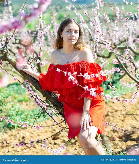 Woman In Red Dress Standing Near Blooming Peach Tree Stock Image