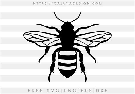 Free Vintage Bee SVG, PNG, EPS & DXF by Caluya Design