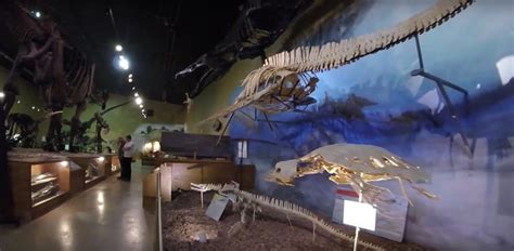Experience A Real Life Jurassic Park At This Epic Wyoming Museum