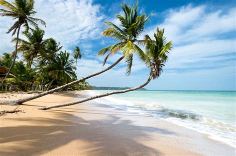 7 Best Beaches In Trinidad And Tobago