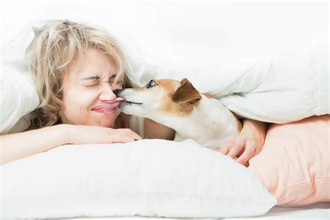 The Mysterious Connection Between Your Dogs Neck And The Internal