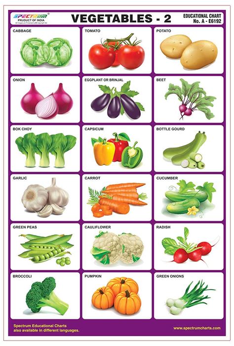 Buy Spectrum Vegetables 2 Pre Primary Kids Learning Laminated