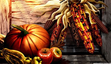 Pumpkin Wallpaper High Definition Hd All Hd Wallpapers