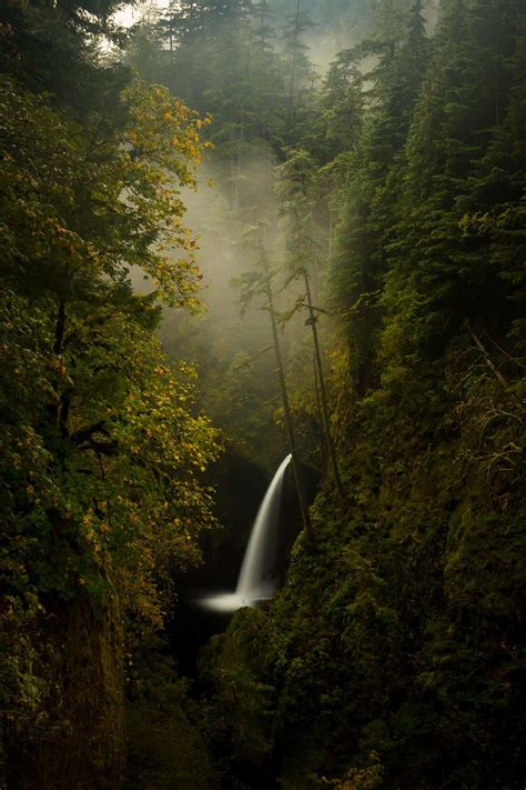 15 Must See Columbia River Gorge Waterfalls Cohaitungchi Tech