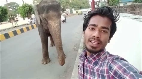 Elephant Freand With Human हाथी और इंसान की ऐसी दोस्ती आज तक नहीं