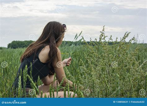 Girl Harvest Wheat Spikelets On The Field Stock Image Image Of