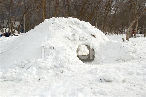 Boy Scout Snow Cave Built In The Mountains Stock Photo Royalty Free