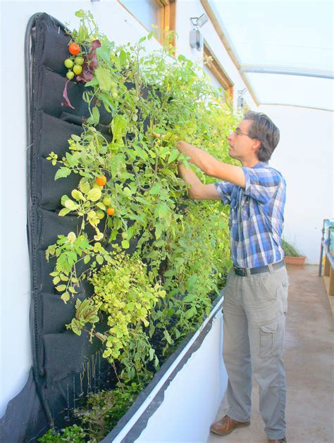 Aquaponic Vertical Vegetable Garden Florafelt Living Wall Systems