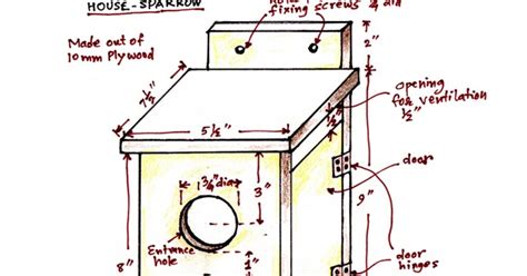 Bulbul Digiart Design Of Nest Box For House Sparrow