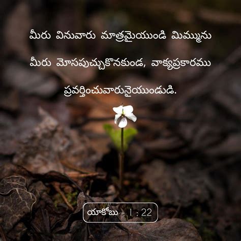 Amazing Collection Of Full 4K HD Images Top 999 Telugu Bible Quotes