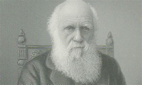 On board the beagle with capt fitzroy on a voyage around the world. 10 curiosidades sobre Darwin | Datos que no conocías del ...