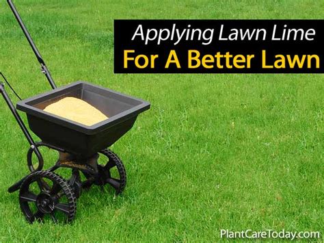 Applying Lawn Lime To Acid Soil For A Better Lawn
