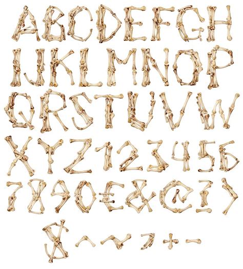 Bones Font Opentype Typeface Numbers Font
