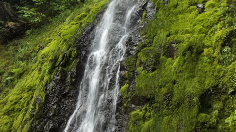 Wallpaper Waterfall Cliff Moss Water Stones Hd Picture Image