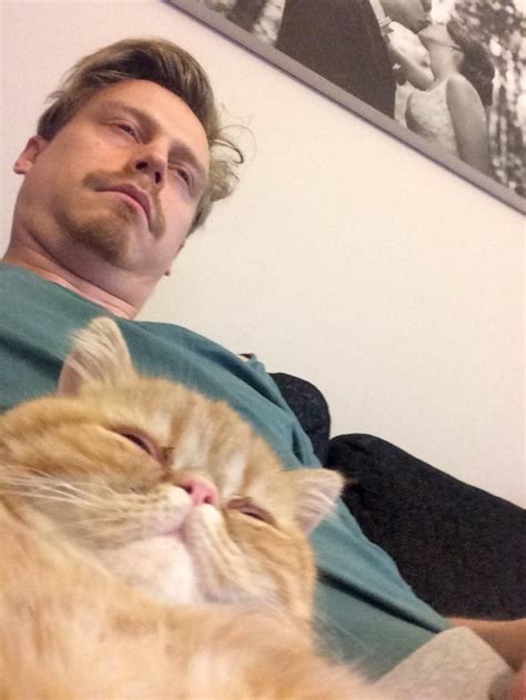 15 Hilarious Pics Of Cats Acting Like Humans