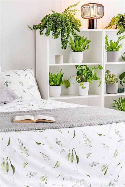 Maybe you would like to learn more about one of these? Houseplants for bedrooms. Indoor plants for the bedroom ...