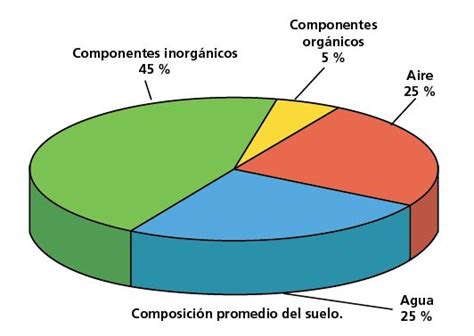 Composición Y Clasificación De Los Suelos Escolar Abc Color