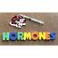 Hormones 101 What You Need To Know  9Coach