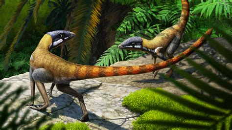 Pterosaurs May Have Evolved From Tiny Fast Running Reptiles Science News Digital News