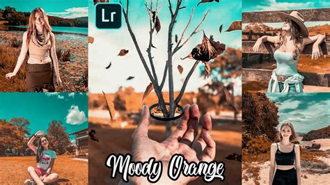 Add rich and bright colors in your photos. How to edit moody orange lightroom presets free download ...