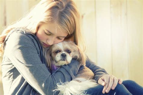 Can Dogs Sense Sadness Pet Help Reviews Uk
