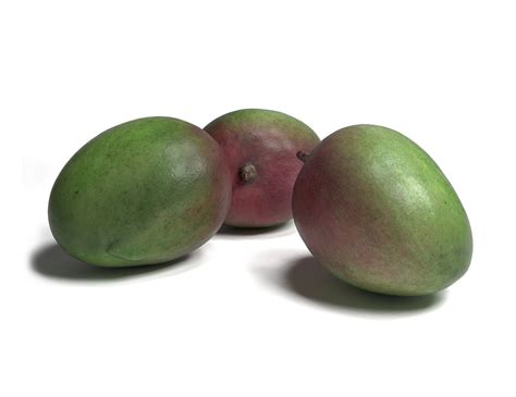 Untuk pemesanan dan informasi lebih lanjut.bisa hubungi admin (wa) : 45 Koleksi Gambar Kolase Buah Mangga HD - Kumpulan Gambar ...