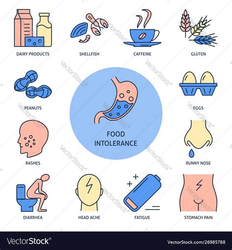 Food Intolerance Symptoms And Products In Line Vector Image
