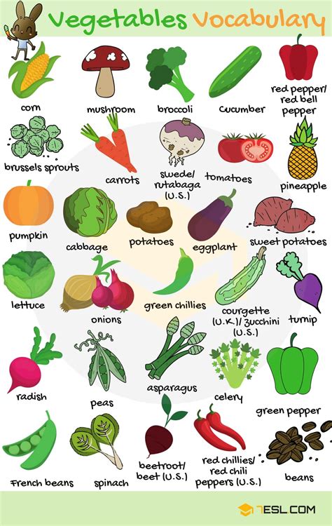 Fruits And Vegetables List English Names And Pictures 7 E S L