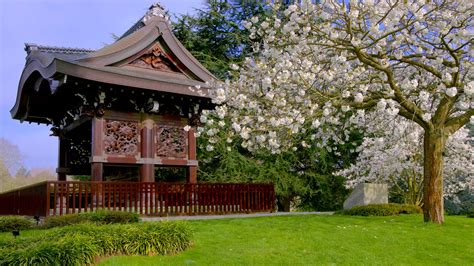 Japanese art, japanese landscapes, cherry blossoms, sakura blooming art, japanese art prints, posters, woodblock prints and paintings reproductions. Japanese Landscape | Kew