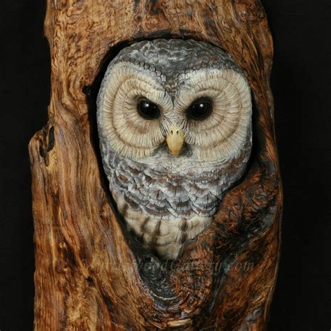 This Is An Amazing Hand Carved Owl Carving It Looks Like A Real One In