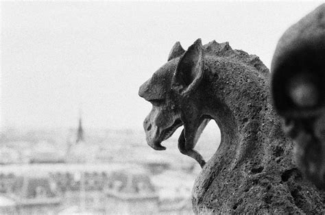 30 Fun Facts About Gargoyles That You Never Knew About