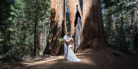 Maybe you would like to learn more about one of these? Intimate Sequoia Wedding | Jen and Pete's Mountain Wedding Preview - Bergreen Photography