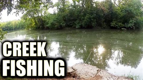 Bank Fishing With 1 Inch Gulp Minnows Realistic Fishing