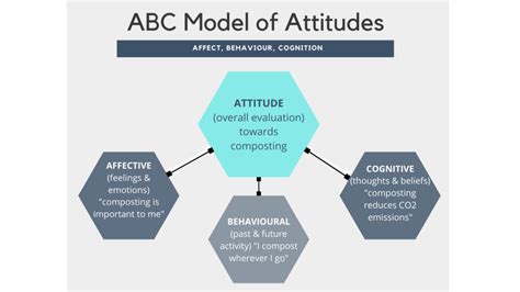 Understanding Attitudes Introduction To Consumer Behaviour