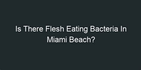 Is There Flesh Eating Bacteria In Miami Beach Go Explore Florida