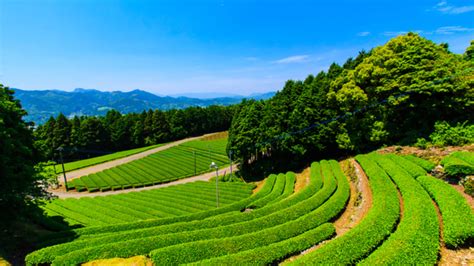 Situated at, in, or near the center the central part of the state. Central Kyushu Free & Easy | Travellino Tour & Travel