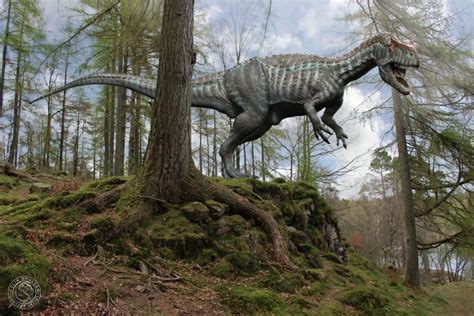 7 Incredible Allosaurus Facts Beyond Your Cognition