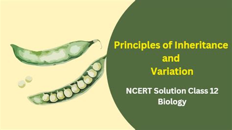 Ncert Solutions For Class 12 Chapter 4 Principles Of Inheritance And