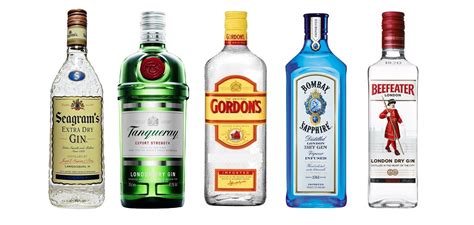 Interesting Facts About Gin Just Fun Facts