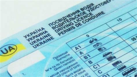 В Украине утерянные водительские права теперь можно восстановить онлайн ...