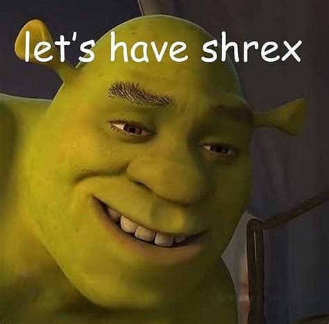 Am I The Only One Who Thinks Shrek Is Totally Hot Here Acak Fanpop