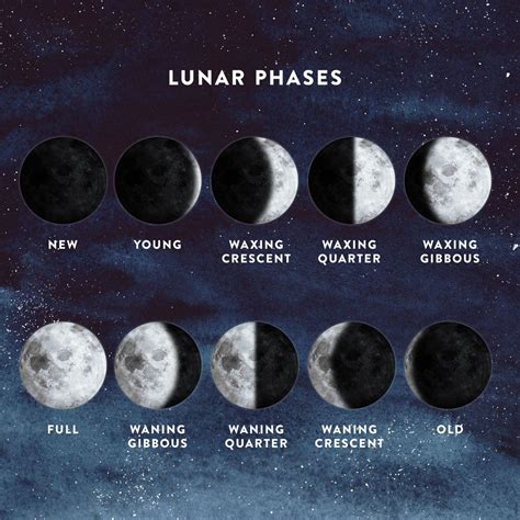 Lunar Phase Poster Indigo Lunar Phase Current Moon Phase Moon Phases
