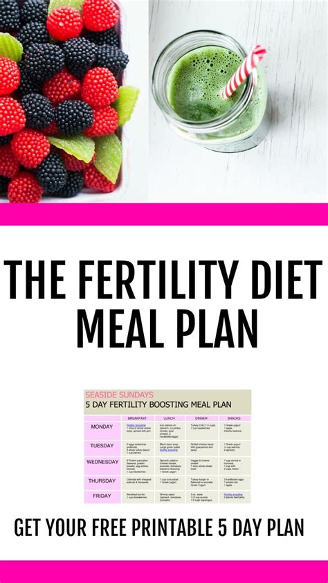 Diet Chart For Fertility