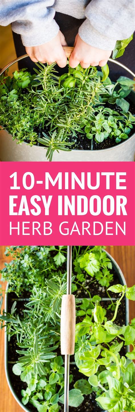 Did you know the intensity of the light contributes to the flavor. Easy Indoor Herb Garden -- I was an indoor container ...