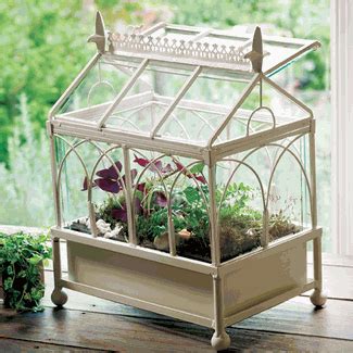 You can use these greenhouse plans to build a traditional style greenhouse with fiberglass walls. Tabletop terrarium/Greenhouse | Indoor garden, Garden ...